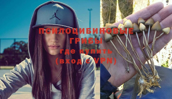 молекула духа Бородино