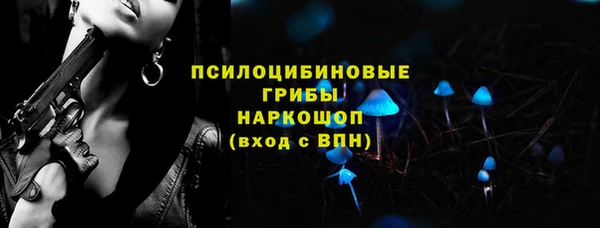 молекула духа Бородино