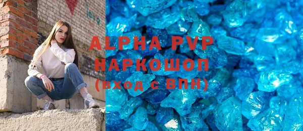 молекула духа Бородино