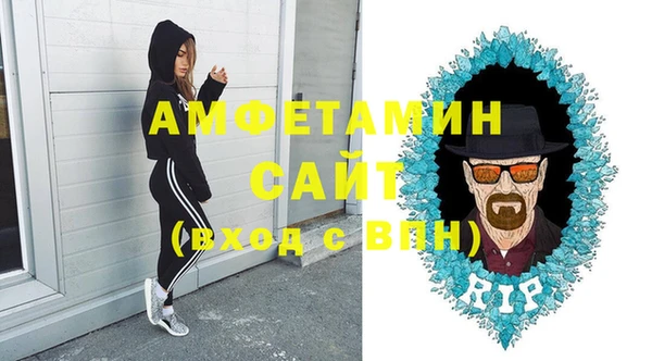 молекула духа Бородино