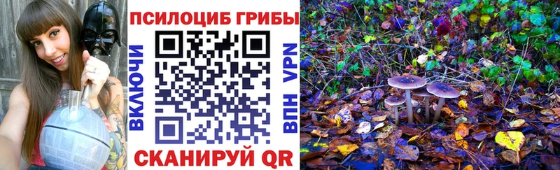 Галлюциногенные грибы Psilocybine cubensis  MEGA как зайти  Ахтырский 